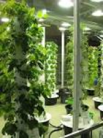 22 best Hydroponic_Blissings images on Pinterest | Hydroponics ...