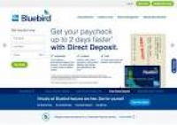 BLUEBIRD CHECKS Issued By AMERICAN EXPRESS - Check Alert