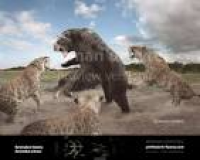 760 best Prehistoric images on Pinterest | Cats, Draw and Koalas