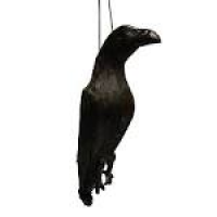 Visual Scare Feather Crow Bird Repellent: Amazon.co.uk: Garden ...