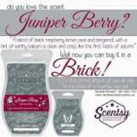 753 best all about the scentsy..scentsy..scentsy images on ...