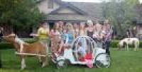 Hire Mini Horse Parties and Family Motorized Carriage Rides - Pony ...