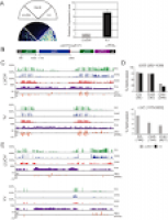 The MBD7 complex promotes expression of methylated transgenes ...