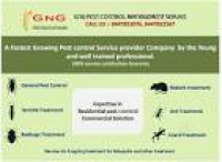 GNG Pest Control Management Services, Laxmi Nagar - Pest Control ...