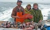 Reservations & Pricing | Riptide Sportfishing & Whale Watching ...
