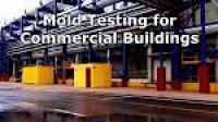 Commercial Mold Testing - Mold Testing for Commercial Buildings ...