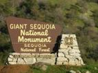 Under Review: What's At Stake In The Giant Sequoia National ...