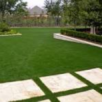 Artificial Grass in USA Global Syn-Turf (Top Choice)