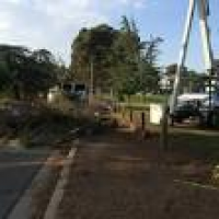 Central Valley Trees and Landscape Services - Tree Services ...