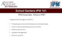 School Gardens IPM 101 Home Work IPM School Pest Management ...