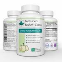 White Mulberry Leaf, Pure Extract - NATURE'S NUTRI-CARE