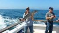 Channel Islands Sportfishing Center and Whale Watching - Visit Oxnard