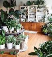45 best Pop-Up Plant Shop images on Pinterest | Plant, Flower and ...