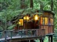 Entire home/apt in Watsonville, US. A magical Redwood Treehouse ...