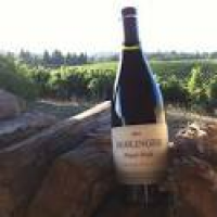 Dehlinger Winery, United States, California, Sebastopol | Kazzit ...