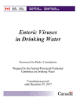Enteric Viruses in Drinking Water - Canada.ca