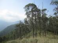 Perumal Peak (Kodaikanal) - All You Need to Know Before You Go ...