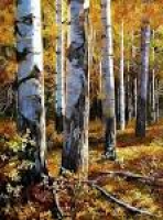 45 best Birches images on Pinterest | Landscapes, Aspen trees and ...