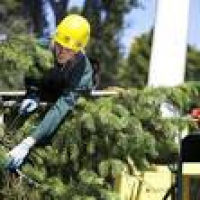 Bartlett Tree Experts - 45 Photos - Tree Services - Red Bank, NJ ...