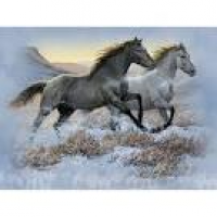 59 best Horses images on Pinterest