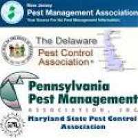 About Us - Pest Control, Termite and Wildlife Removal – APM Services