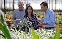 Gone global: Costa family farms of South Dade announced ...