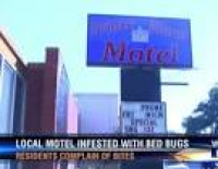 Local Motel Infested with Bed Bugs | News | wtxl.com