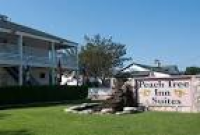 Peach Tree Inn & Suites, Fredericksburg, TX - Booking.com