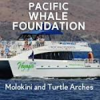 Pacific Whale Foundation Molokini and Turtle Arches ⋆ Maui ...