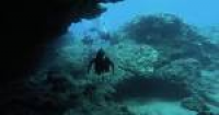 North Shore Oahu Scuba Diving | Banzai Divers Hawaii