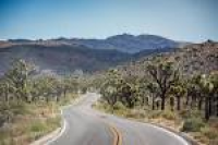 Camping Joshua Tree, California: Here's Your 5-Step Guide To High ...