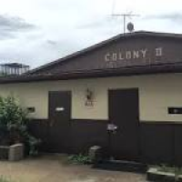 Goodbye to the Colony II, a Swinger/Adult Film Hub in East St ...
