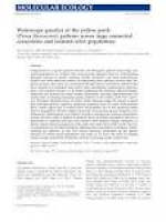 PDF) Waterscape genetics of the yellow perch (Perca flavescens ...