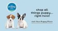 Pet Supplies, Accessories and Products Online | PetSmart