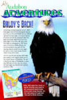 19 best Challenger the Bald Eagle images on Pinterest | Bald ...
