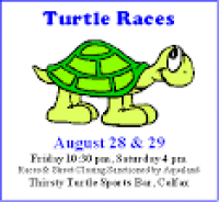 Colfax Turtle Races