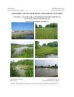 PDF) ASSESSMENT OF WETLAND MITIGATION PROJECTS IN OHIO VOLUME 1 ...