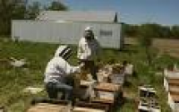 Koelzer Bee Farm|Raw Honey | Lotion Bars | Creamed Honey