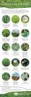 Best 10+ Lawn care tips ideas on Pinterest | Grass, Lawn care and ...