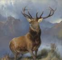 The Monarch of Glen' stag may have actually been English | Daily ...