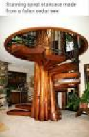 Cedar tree staircase | For the Home | Pinterest | Cedar trees and ...