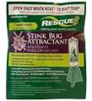 Amazon.com : Bonide 198 Natural Stink Bug Trap : Home Pest Control ...