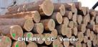 Logs For Sale - Baillie Lumber - Hardwood Supplier