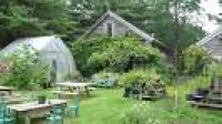 roses out back - Picture of North Creek Farm Cafe, Phippsburg ...