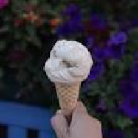 Mount Desert Island Ice Cream - Temp. CLOSED - 122 Photos & 320 ...