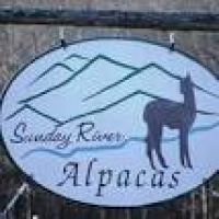 Sunday River Alpacas - TheLift A-List