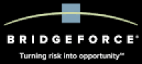 Financial Services Consulting Firm | Bridgeforce LLC