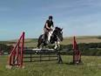 Horses & Equestrian Equipment for Sale | Friday-Ad