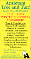 Call Us For Winterizing Trees And Shrubs, Antietam Tree and Turf ...