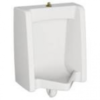 American Standard Washbrook FloWise Top Spud 0.125 GPF Urinal in ...